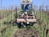 Auflockerung des Bodens in der Weinregion Württemberg