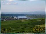 Blick auf Nierstein in Rheinhessen.<br />
<br />
Bildquelle: Weingut und Gutsausschank Buhl