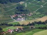 Blick auf die Weinberge von Heuholz in Wrttemberg<br />
<br />
Bildquelle: Weingrtnergenossenschaft Heuholz e.G.