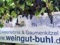 Weingut Buhl