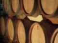 die Weinfaesser vom Bio-Wein-Gut Georg Forster