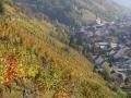 Unsere Weinberge in idyllischer Lage