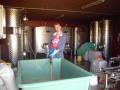 Weinproduktion