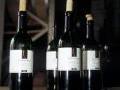 Unsere Pf�lzer Weine