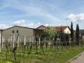 Weingut W�rner