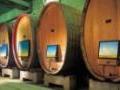 Weingut Schmitts Kinder