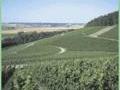 Weinhang