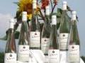 Destillate vom Weingut Woerner
