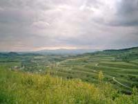 Kaiserstuhl Weinbau Kaiserstuhl Weinbau