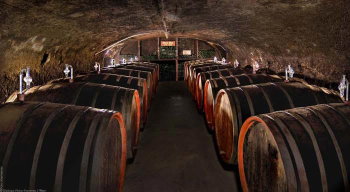 Weinwissen kann man bei Weinproben sehr gut lernen