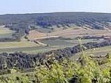 Taubertal in Franken<br />
<br />
Bildquelle: Weingut Poth