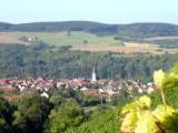 Th�ngersheim in Franken<br />
<br />
Bildquelle: Weingut Gregor Schwab