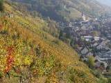 sch�ne Weingegend in Franken<br />
<br />
Bildquelle: Weingut Wolfgang K�hn