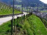 Ein Einblick in die Weinregion Baden.<br />
<br />
Bildquelle: Weingut  Hex vom Dasenstein