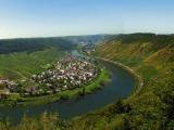 Ausblickauf das Dorf Ernst an der Mosel<br />
<br />
Bildquelle: Weingut Andrae-Goebel <br />
<br />