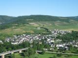 M�llheim an der Mosel <br />
<br />
Bildquelle: Weingut Apotheker Bartz