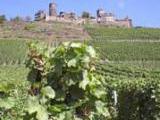 sch�ne Gegend mit Weinbergen<br />
<br />
Bildquelle: Weingut Anton Hammes<br />