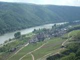 Weinberg an der Mosel<br />
<br />
Bildquelle: Weingut Schneiders - Moritz