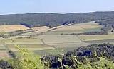 Panoramabild aus der Region Franken.<br />
<br />
Bildquelle: Weingut Poth