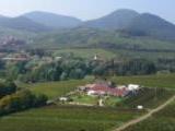 Impression aus Siebeldingen in der Pfalz.<br />
<br />
Bildquelle: Weingut Dr. Steiner