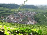 Impression vom Kaiserstuhl.<br />
<br />
Bildquelle: Weingut & Weinstube Probst