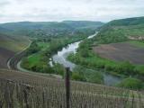 Impression in Wiltlingen an der Mosel<br />
<br />
Bildquelle: Weingut Borens