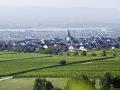 in der schnen Weinregion Rheingau liegen unsere Weinberge