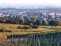 Haltinger Weinbaugebiet in Baden Haltinger Weinbaugebiet in Baden