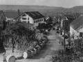 Historische Kelter Historische Kelter