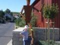 Renovierung Weingut Schuler Renovierung Weingut Schuler