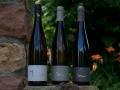 Riesling Weine Riesling Weine