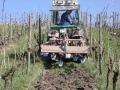Ökoweingut Stutz Ökoweingut Stutz