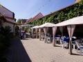 Tag der offenen Tür im Pfälzer Weingut Sektgut Braun Tag der offenen Tür im Pfälzer Weingut Sektgut Braun