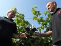 Spitzen Rotweine gemeinsam geniessen Spitzen Rotweine gemeinsam geniessen