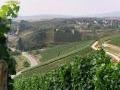 Weinregion Nahe Weinregion Nahe