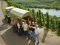 Weinbergführung mit Weinprobe Weinbergführung mit Weinprobe