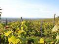 Unsere Weinlagen in Baden Unsere Weinlagen in Baden
