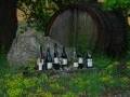 Weine - Moselweingut Peter Barzen Weine - Moselweingut Peter Barzen