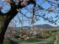 Das Weingut & Gästehaus Röhm Das Weingut & Gästehaus Röhm