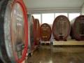 Weingut Eugen Volz & Sohn Weingut Eugen Volz & Sohn