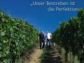 Unser Bestreben ist die Perfektion Unser Bestreben ist die Perfektion
