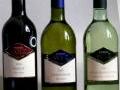 Weine vom Weingut Volz Weine vom Weingut Volz