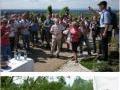Weinkeller - Weinberg - Kutschfahrten Weinkeller - Weinberg - Kutschfahrten