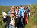 Weinlandschaft Bühl - Professionelle Weinbergwanderungen, die viel Spass machen