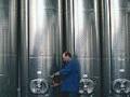 Winzer bei der Arbeit Winzer bei der Arbeit
