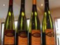 Steillagen Riesling aus der Mosel (Gstehaus Paulushof GbR)