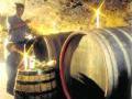 Riesling Kontrolle im Weinkeller (Weingut Andrae-Goebel, Mosel)